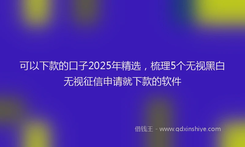 可以下款的口子2025年精选，梳理5个无视黑白无视征信申请就下款的软件