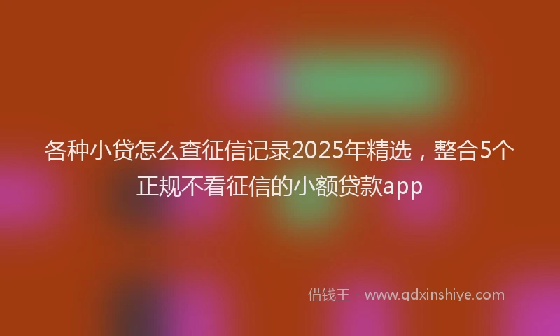 各种小贷怎么查征信记录2025年精选，整合5个正规不看征信的小额贷款app