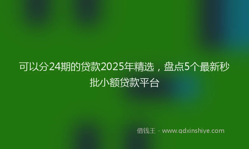 可以分24期的贷款2025年精选，盘点5个最新秒批小额贷款平台