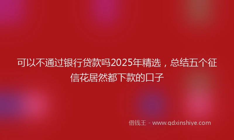 可以不通过银行贷款吗2025年精选，总结五个征信花居然都下款的口子