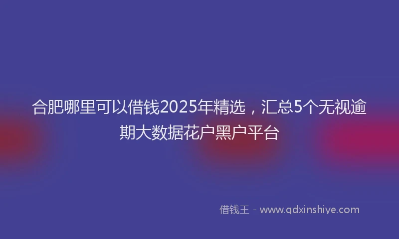 合肥哪里可以借钱2025年精选，汇总5个无视逾期大数据花户黑户平台