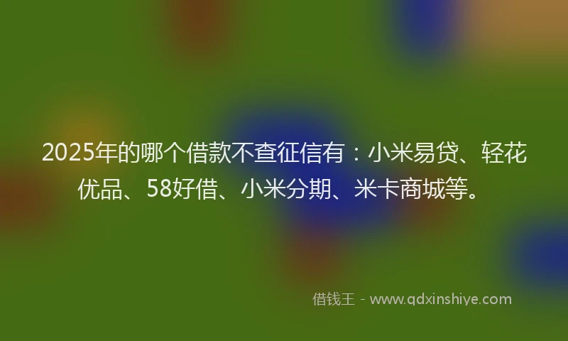 2025年的哪个借款不查征信有：小米易贷、轻花优品、58好借、小米分期、米卡商城等。