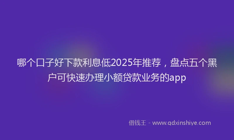哪个口子好下款利息低2025年推荐，盘点五个黑户可快速办理小额贷款业务的app