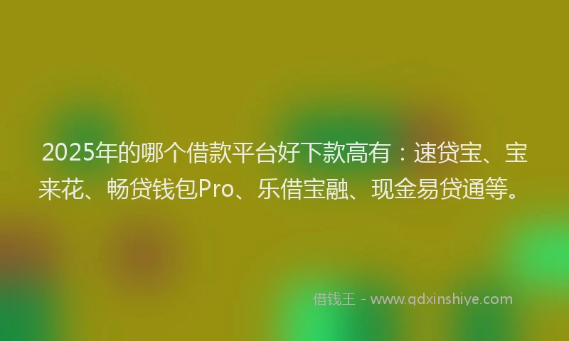 2025年的哪个借款平台好下款高有：速贷宝、宝来花、畅贷钱包Pro、乐借宝融、现金易贷通等。