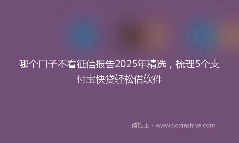 哪个口子不看征信报告2025年精选，梳理5个支付宝快贷轻松借软件