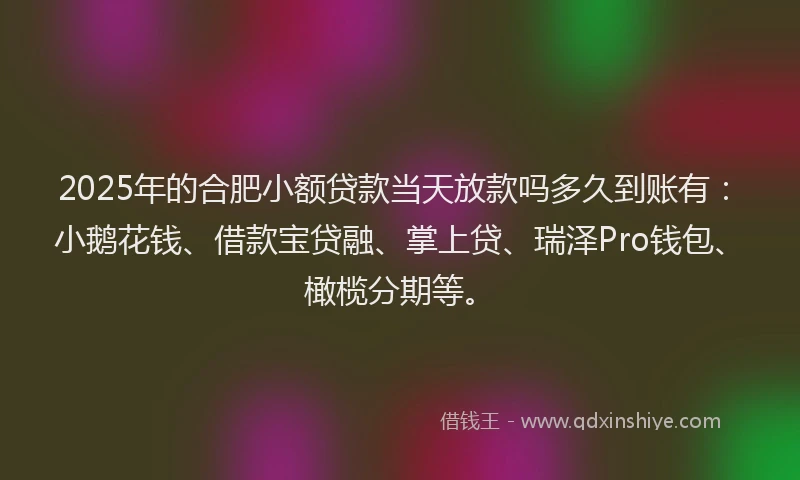 2025年的合肥小额贷款当天放款吗多久到账有：小鹅花钱、借款宝贷融、掌上贷、瑞泽Pro钱包、橄榄分期等。