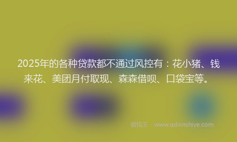 2025年的各种贷款都不通过风控有：花小猪、钱来花、美团月付取现、森森借呗、口袋宝等。