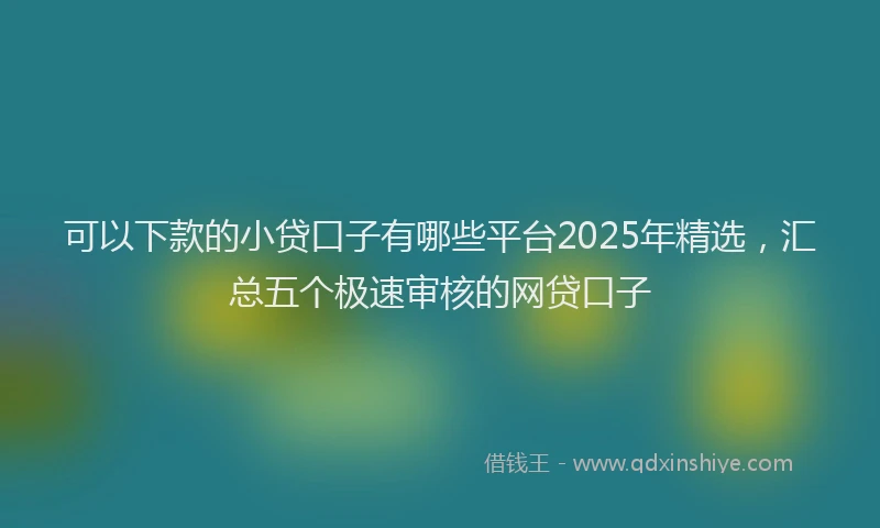 可以下款的小贷口子有哪些平台2025年精选，汇总五个极速审核的网贷口子