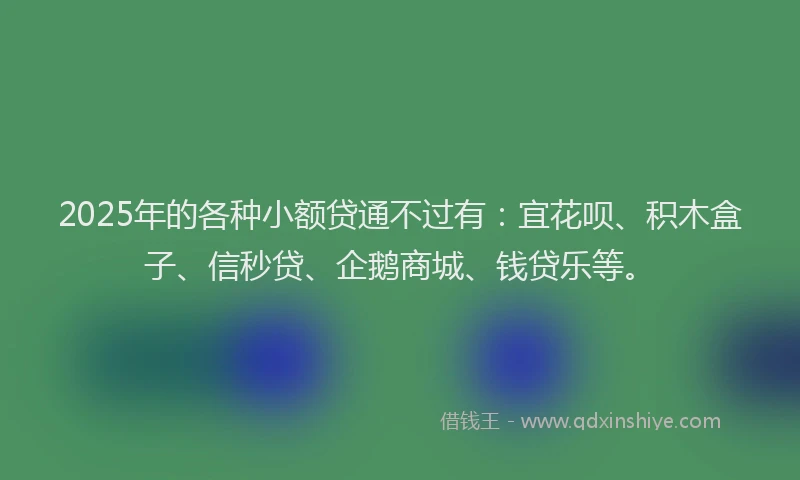 2025年的各种小额贷通不过有：宜花呗、积木盒子、信秒贷、企鹅商城、钱贷乐等。