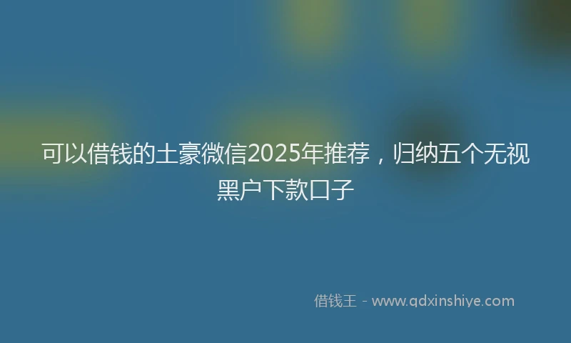可以借钱的土豪微信2025年推荐，归纳五个无视黑户下款口子
