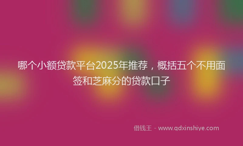 哪个小额贷款平台2025年推荐，概括五个不用面签和芝麻分的贷款口子