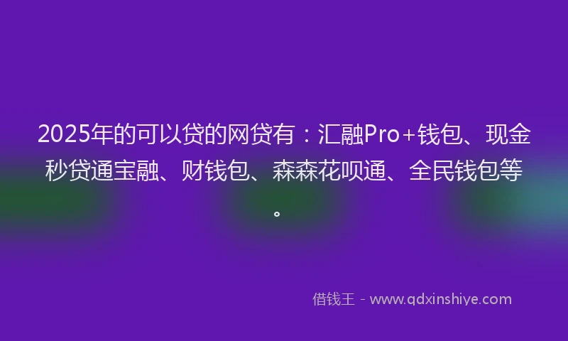 2025年的可以贷的网贷有：汇融Pro+钱包、现金秒贷通宝融、财钱包、森森花呗通、全民钱包等。