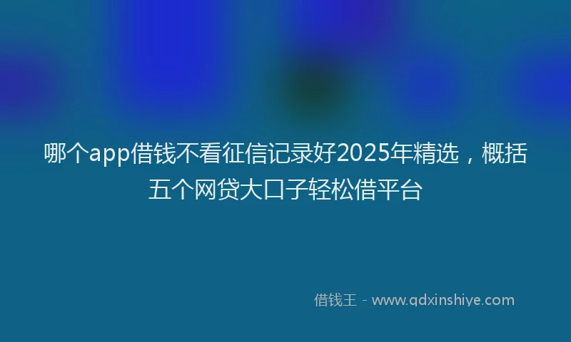 哪个app借钱不看征信记录好2025年精选，概括五个网贷大口子轻松借平台