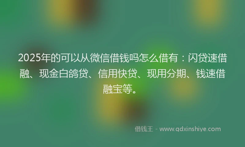 2025年的可以从微信借钱吗怎么借有：闪贷速借融、现金白鸽贷、信用快贷、现用分期、钱速借融宝等。