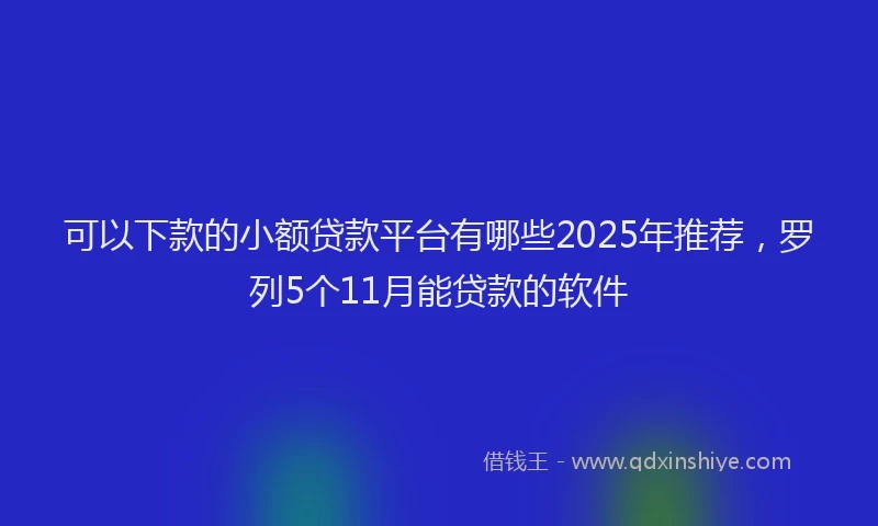 可以下款的小额贷款平台有哪些2025年推荐，罗列5个11月能贷款的软件