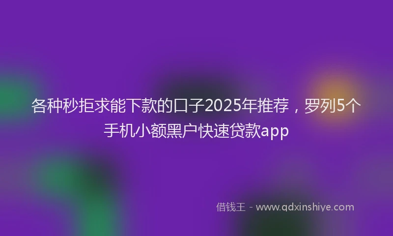 各种秒拒求能下款的口子2025年推荐，罗列5个手机小额黑户快速贷款app