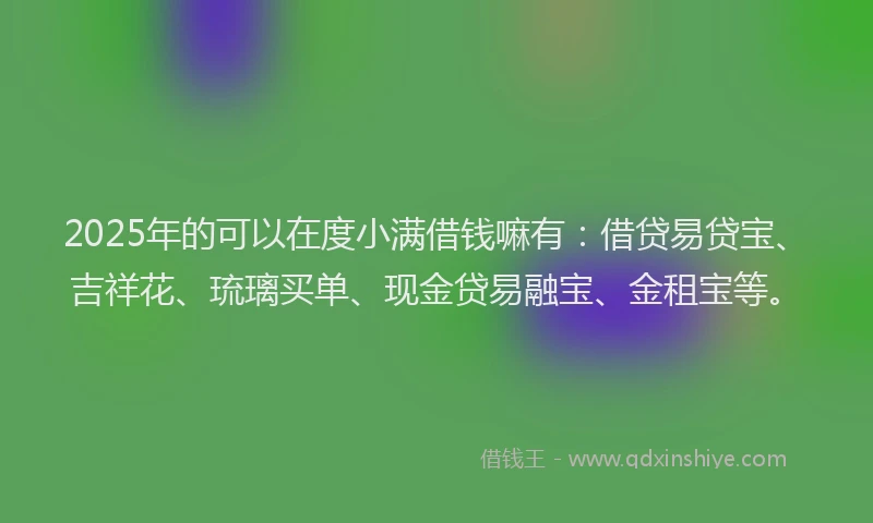 2025年的可以在度小满借钱嘛有：借贷易贷宝、吉祥花、琉璃买单、现金贷易融宝、金租宝等。
