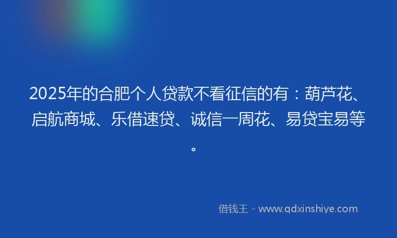 2025年的合肥个人贷款不看征信的有：葫芦花、启航商城、乐借速贷、诚信一周花、易贷宝易等。