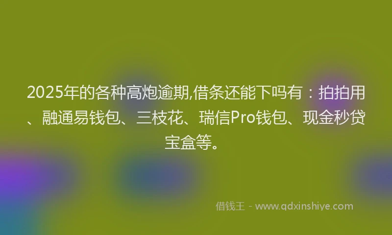 2025年的各种高炮逾期,借条还能下吗有：拍拍用、融通易钱包、三枝花、瑞信Pro钱包、现金秒贷宝盒等。