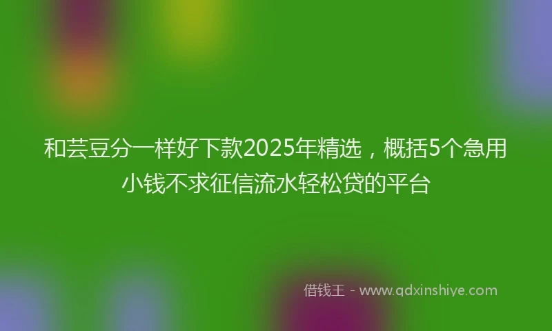 和芸豆分一样好下款2025年精选，概括5个急用小钱不求征信流水轻松贷的平台