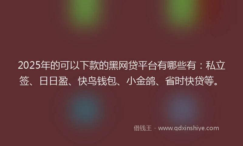 2025年的可以下款的黑网贷平台有哪些有：私立签、日日盈、快鸟钱包、小金鸽、省时快贷等。