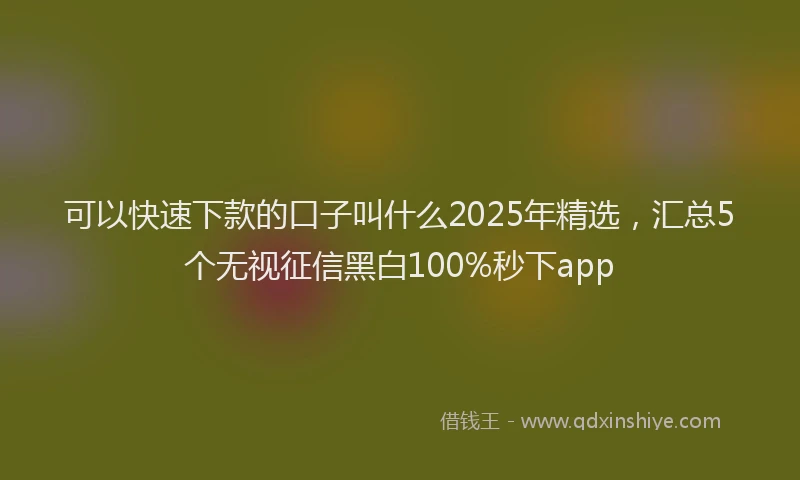 可以快速下款的口子叫什么2025年精选，汇总5个无视征信黑白100%秒下app