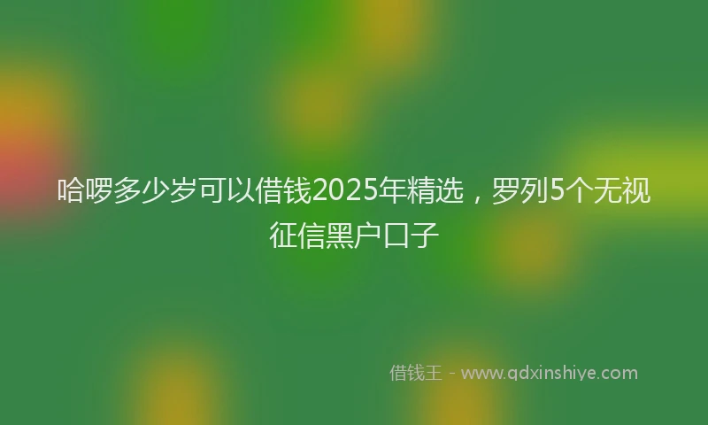 哈啰多少岁可以借钱2025年精选，罗列5个无视征信黑户口子