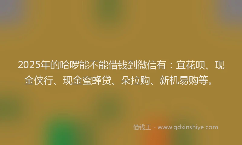 2025年的哈啰能不能借钱到微信有：宜花呗、现金侠行、现金蜜蜂贷、朵拉购、新机易购等。