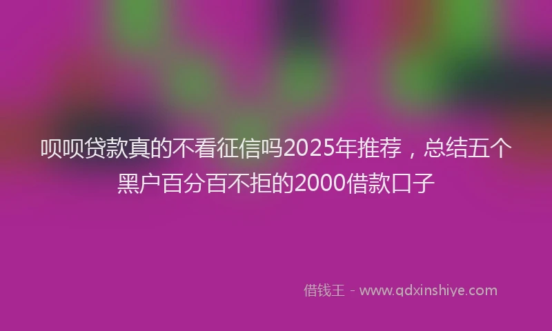 呗呗贷款真的不看征信吗2025年推荐,总结五个黑户百分百不拒的2000借款口子