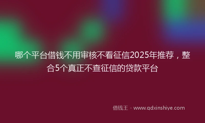 哪个平台借钱不用审核不看征信2025年推荐，整合5个真正不查征信的贷款平台