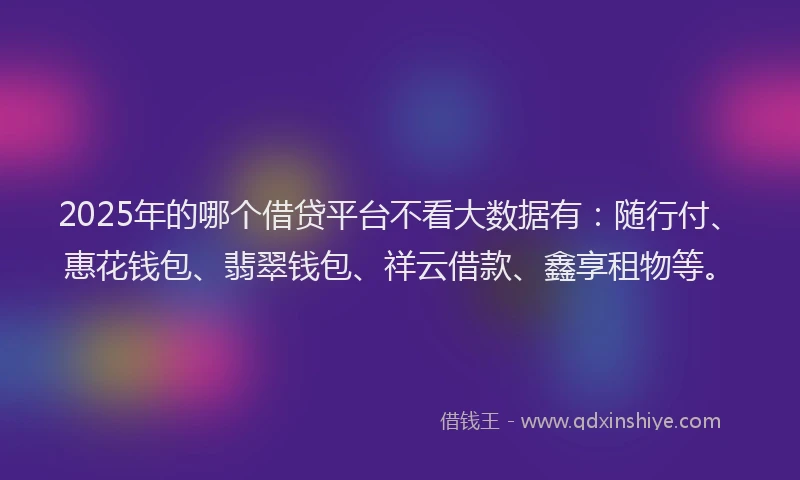 2025年的哪个借贷平台不看大数据有：随行付、惠花钱包、翡翠钱包、祥云借款、鑫享租物等。