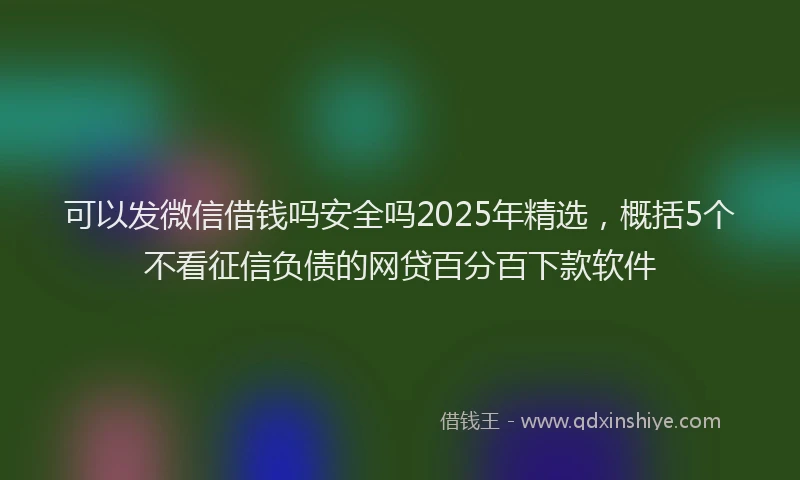可以发微信借钱吗安全吗2025年精选，概括5个不看征信负债的网贷百分百下款软件