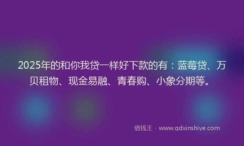 2025年的和你我贷一样好下款的有：蓝莓贷、万贝租物、现金易融、青春购、小象分期等。