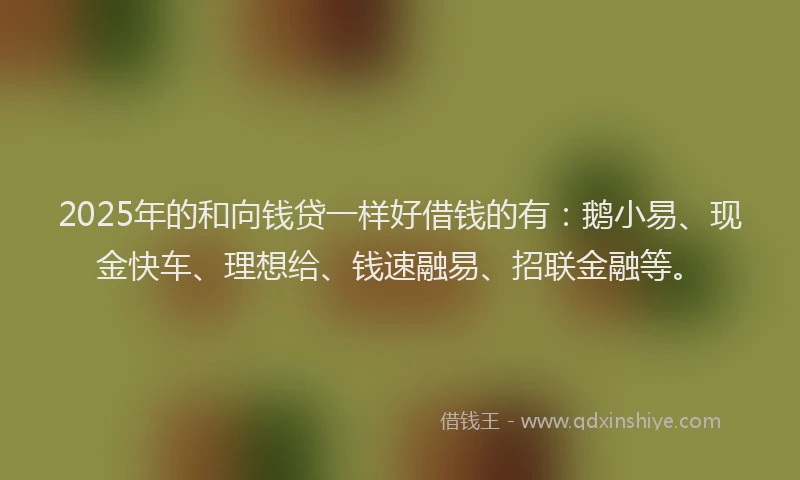 2025年的和向钱贷一样好借钱的有：鹅小易、现金快车、理想给、钱速融易、招联金融等。