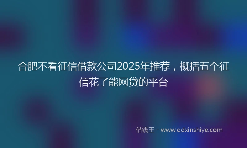 合肥不看征信借款公司2025年推荐，概括五个征信花了能网贷的平台