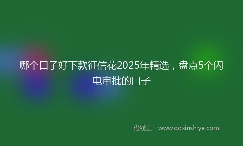 哪个口子好下款征信花2025年精选，盘点5个闪电审批的口子