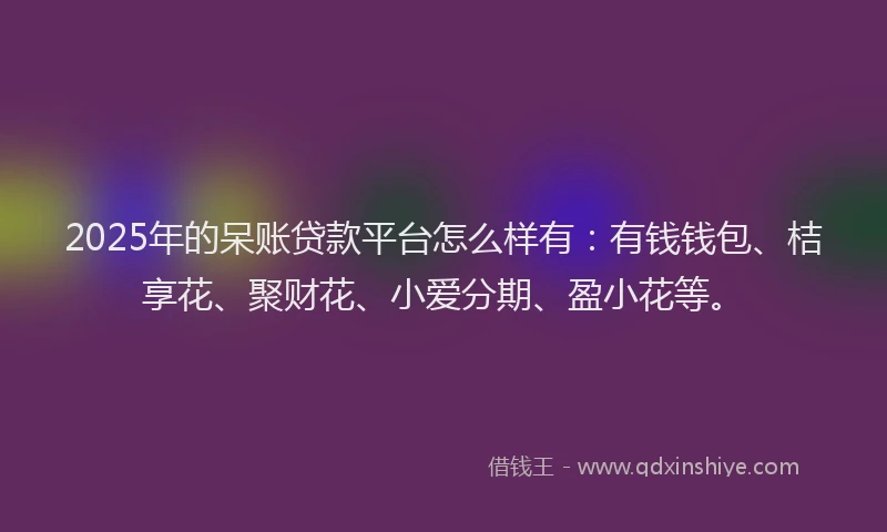 2025年的呆账贷款平台怎么样有：有钱钱包、桔享花、聚财花、小爱分期、盈小花等。