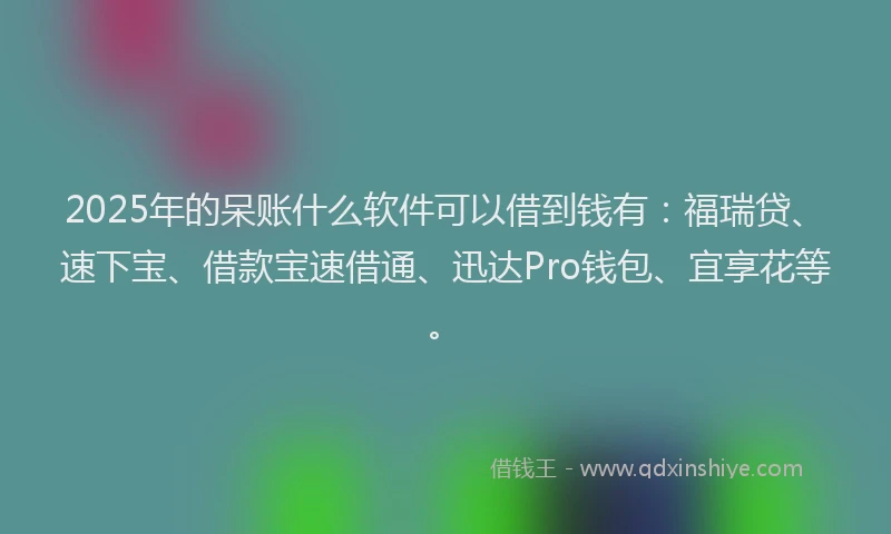 2025年的呆账什么软件可以借到钱有：福瑞贷、速下宝、借款宝速借通、迅达Pro钱包、宜享花等。