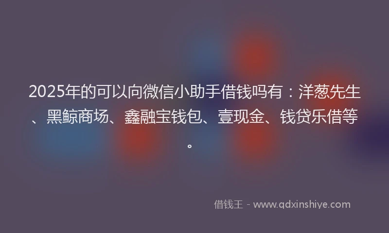 2025年的可以向微信小助手借钱吗有：洋葱先生、黑鲸商场、鑫融宝钱包、壹现金、钱贷乐借等。