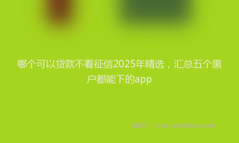 哪个可以贷款不看征信2025年精选，汇总五个黑户都能下的app