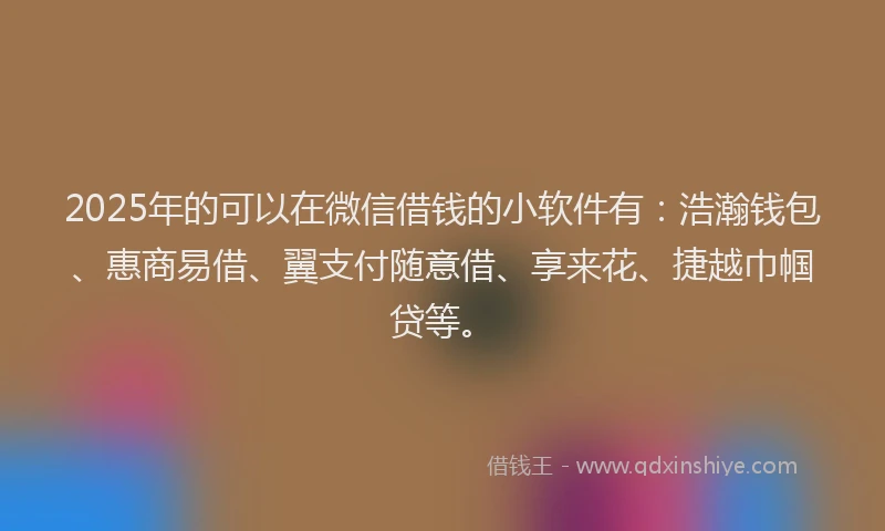 2025年的可以在微信借钱的小软件有：浩瀚钱包、惠商易借、翼支付随意借、享来花、捷越巾帼贷等。