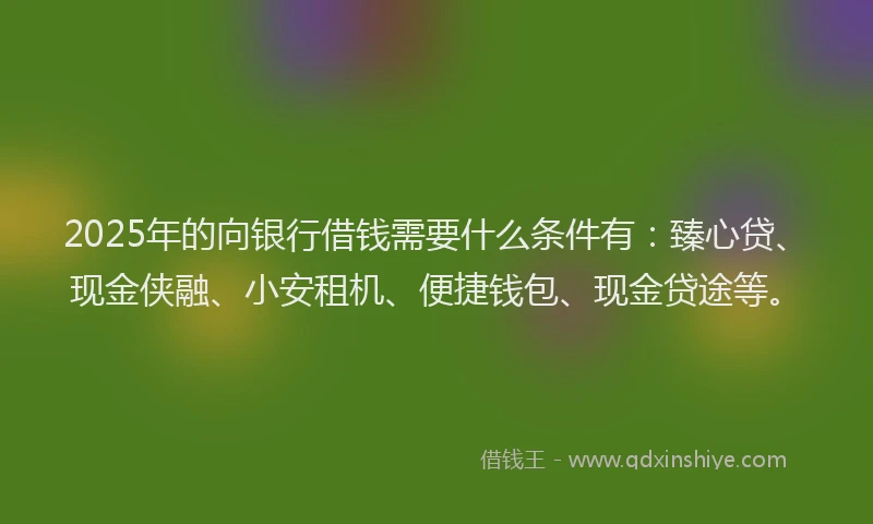 2025年的向银行借钱需要什么条件有：臻心贷、现金侠融、小安租机、便捷钱包、现金贷途等。