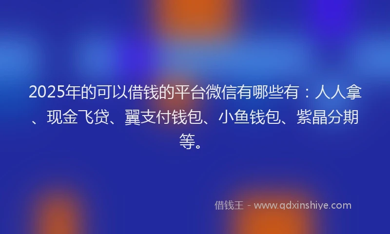 2025年的可以借钱的平台微信有哪些有：人人拿、现金飞贷、翼支付钱包、小鱼钱包、紫晶分期等。