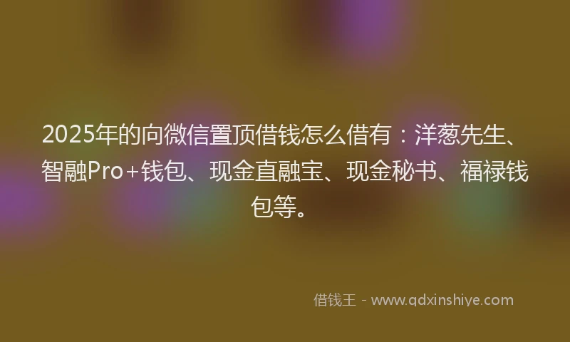 2025年的向微信置顶借钱怎么借有：洋葱先生、智融Pro+钱包、现金直融宝、现金秘书、福禄钱包等。