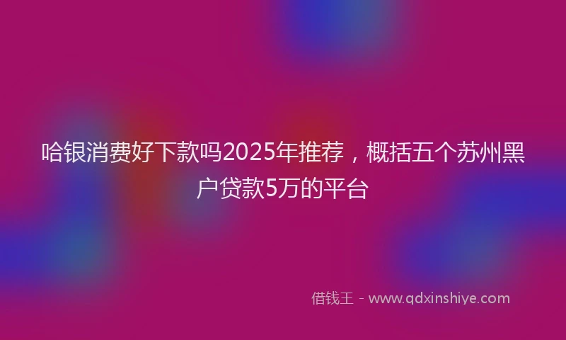 哈银消费好下款吗2025年推荐，概括五个苏州黑户贷款5万的平台
