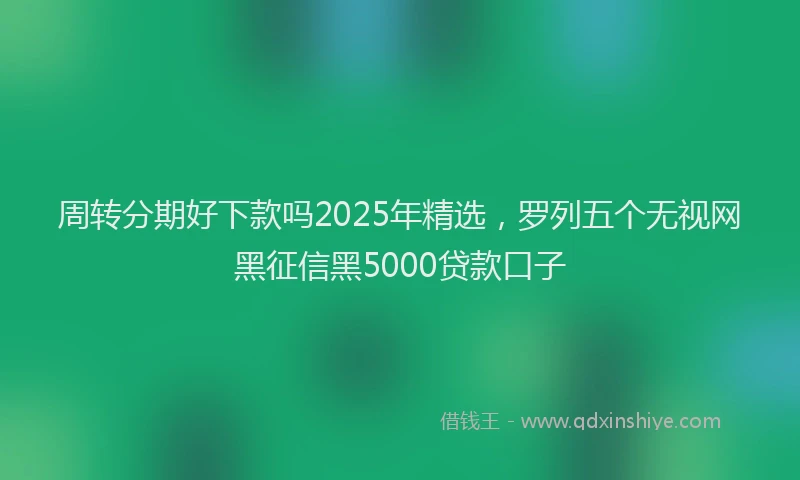 周转分期好下款吗2025年精选，罗列五个无视网黑征信黑5000贷款口子