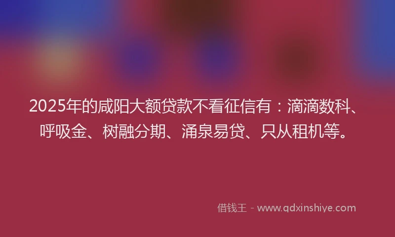2025年的咸阳大额贷款不看征信有：滴滴数科、呼吸金、树融分期、涌泉易贷、只从租机等。