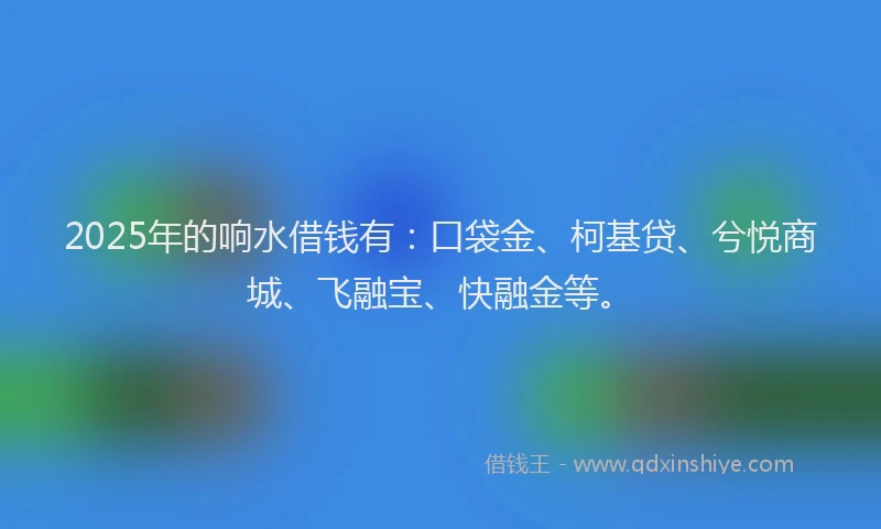 2025年的响水借钱有:口袋金、柯基贷、兮悦商城、飞融宝、快融金等。