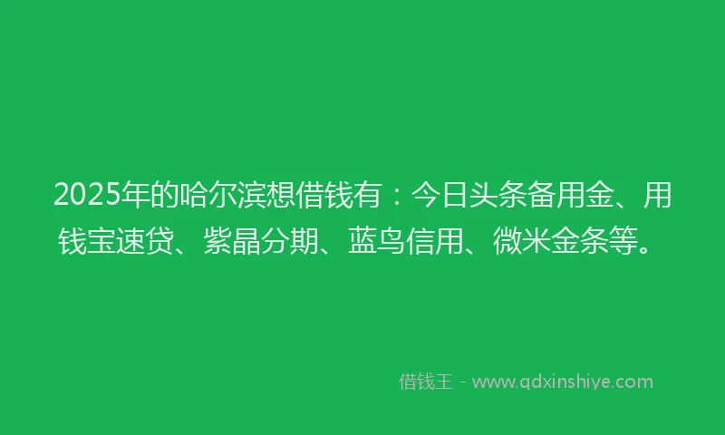 2025年的哈尔滨想借钱有：今日头条备用金、用钱宝速贷、紫晶分期、蓝鸟信用、微米金条等。
