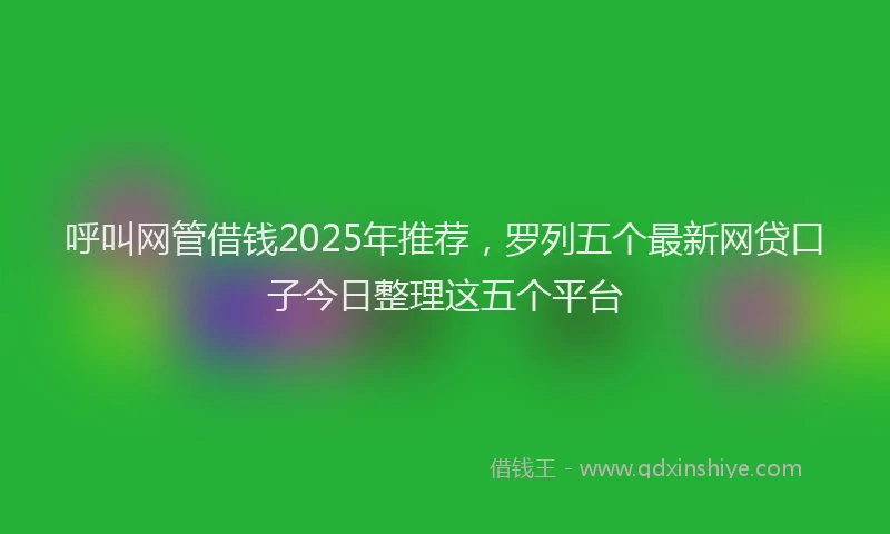 呼叫网管借钱2025年推荐，罗列五个最新网贷口子今日整理这五个平台